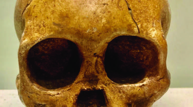 TanzaniZibar _Seite_09_Bild_0004