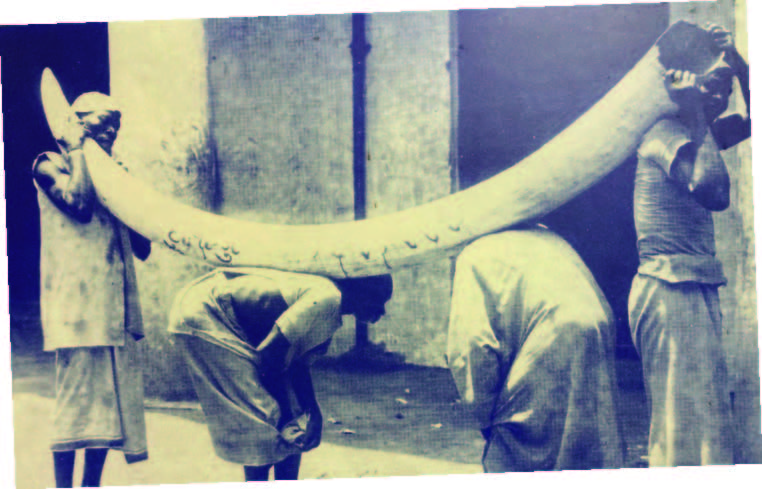 TanzaniZibar _Seite_09_Bild_0006