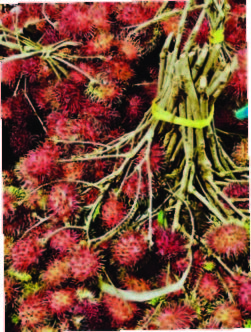 TanzaniZibar _Seite_17_Bild_0007