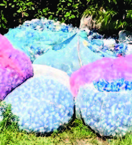 TanzaniZibar _Seite_19_Bild_0002