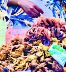 TanzaniZibar _Seite_19_Bild_0006