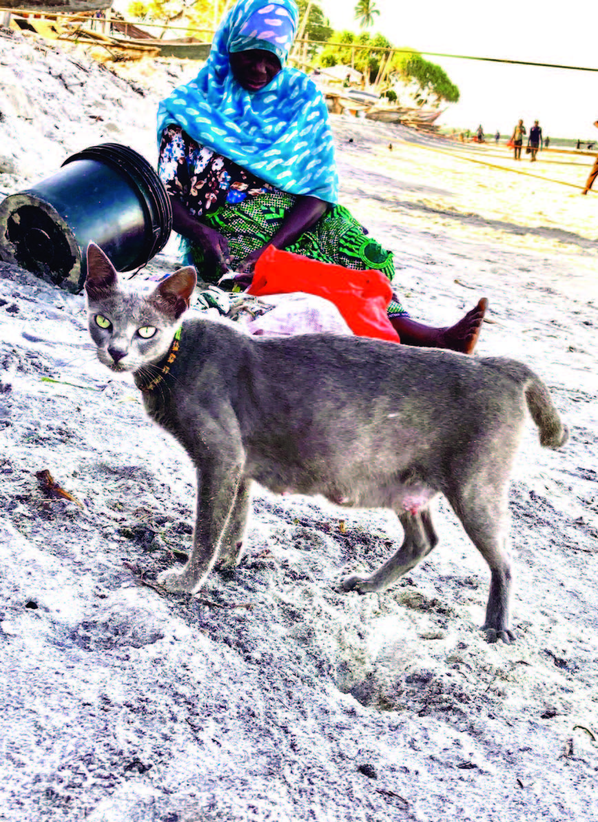 TanzaniZibar _Seite_22_Bild_0001