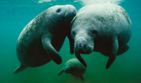 TanzaniZibar _Seite_38_Bild_0002