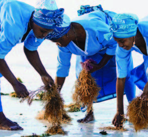 TanzaniZibar _Seite_45_Bild_0002