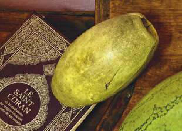 Senegal_Seite_41_Bild_0012